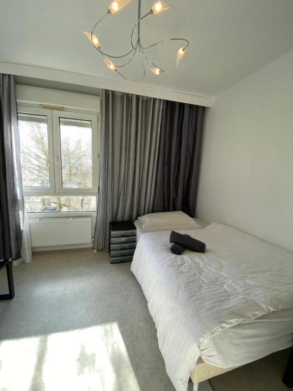 Nancy Hyper Centre, Chambre Prive Chez L'Habitant En Colocation Ngoại thất bức ảnh