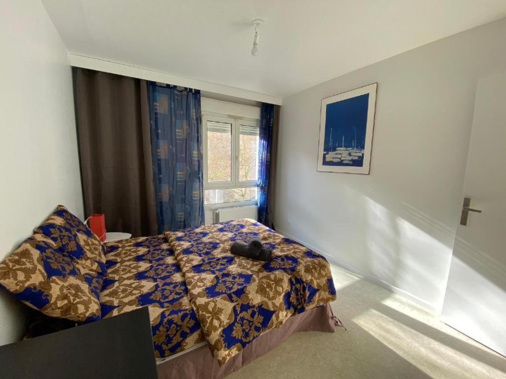 Nancy Hyper Centre, Chambre Prive Chez L'Habitant En Colocation Ngoại thất bức ảnh