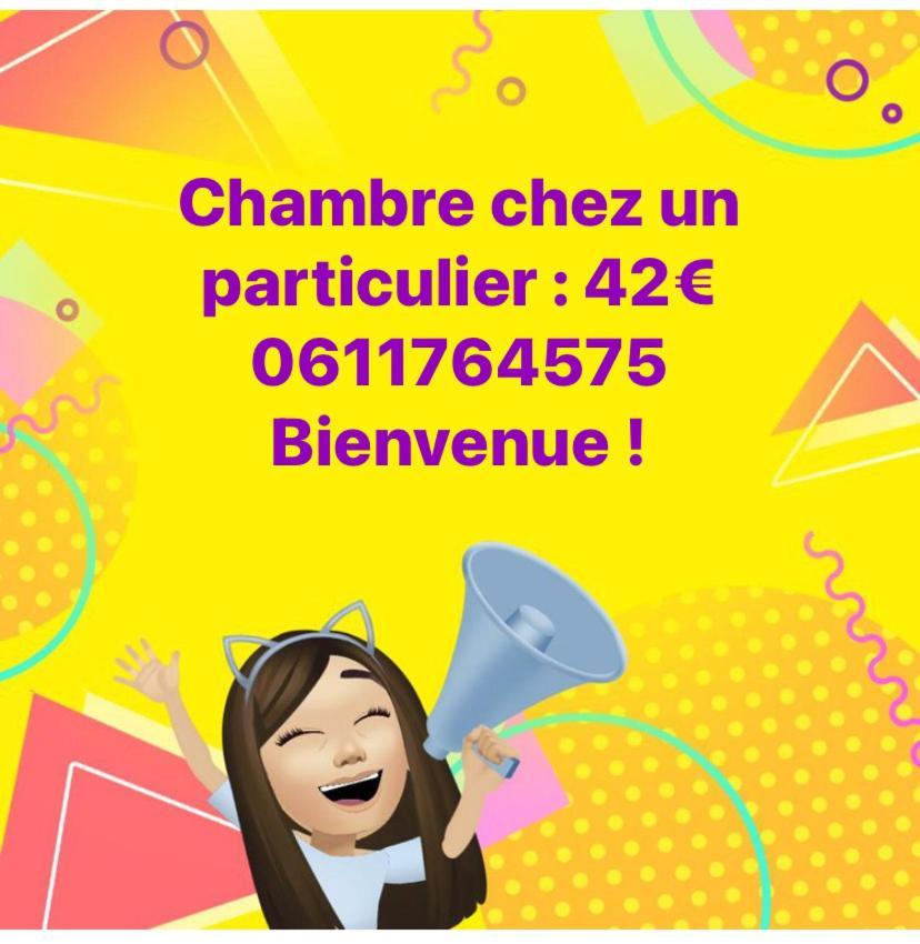 Nancy Hyper Centre, Chambre Prive Chez L'Habitant En Colocation Ngoại thất bức ảnh
