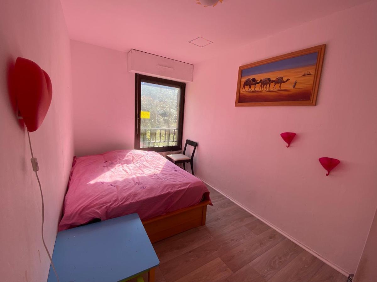 Nancy Hyper Centre, Chambre Prive Chez L'Habitant En Colocation Ngoại thất bức ảnh