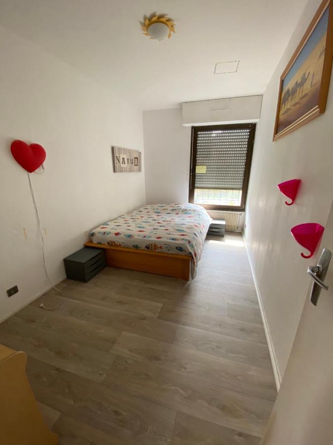 Nancy Hyper Centre, Chambre Prive Chez L'Habitant En Colocation Ngoại thất bức ảnh