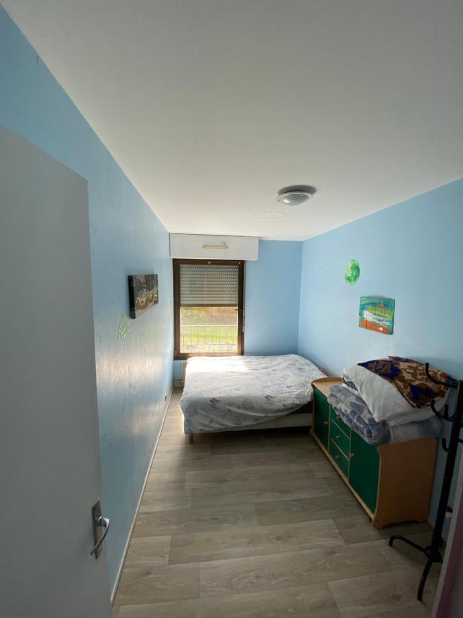 Nancy Hyper Centre, Chambre Prive Chez L'Habitant En Colocation Ngoại thất bức ảnh
